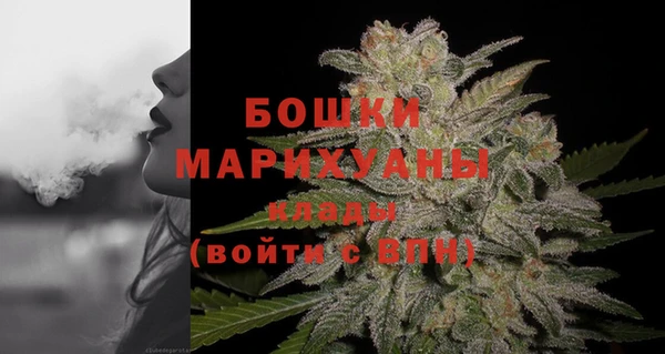 СК Богородск