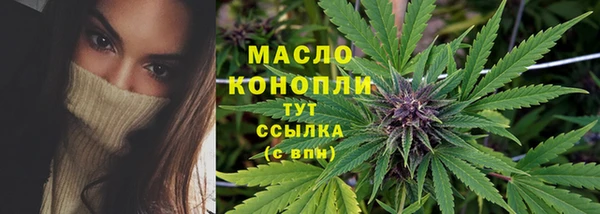 сатива Бородино