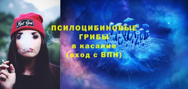 сатива Бородино